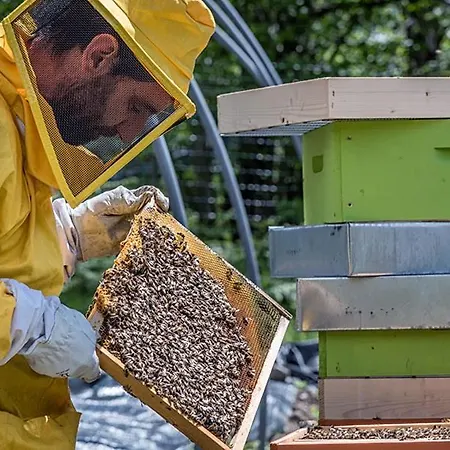 La Fonte Di Mariella * Gravedona