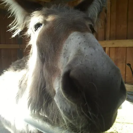 Летний дом La Fonte Di Mariella *
