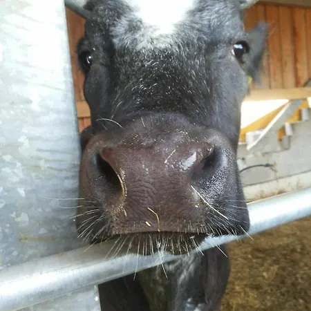 La Fonte Di Mariella Landsted