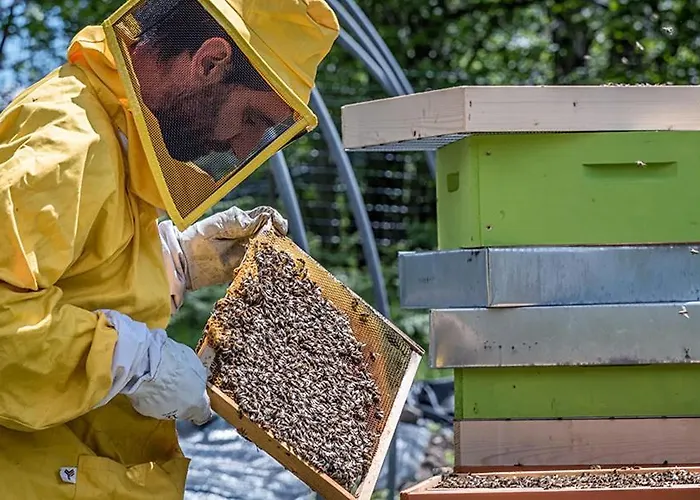 La Fonte Di Mariella * Gravedona