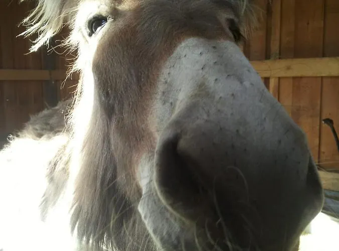 Casa rural La Fonte Di Mariella *
